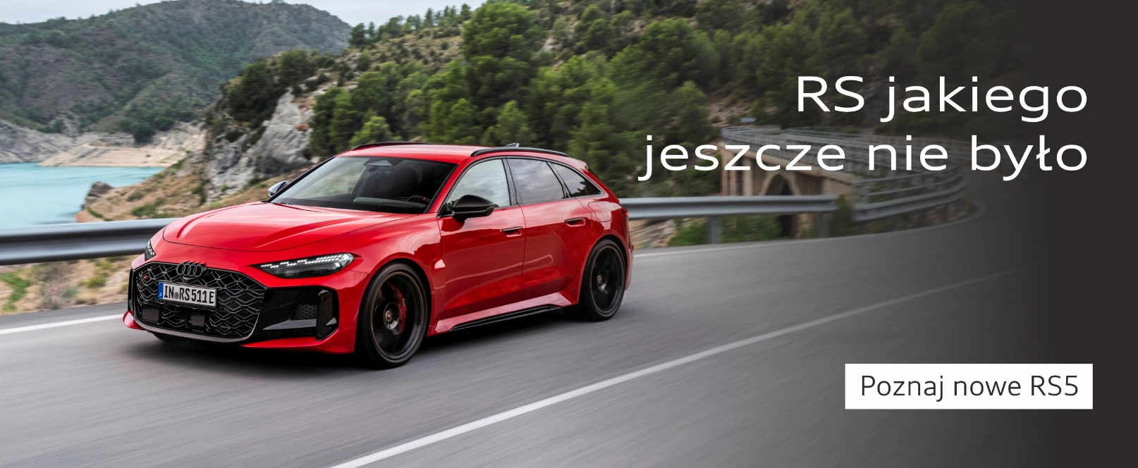 Audi RS5