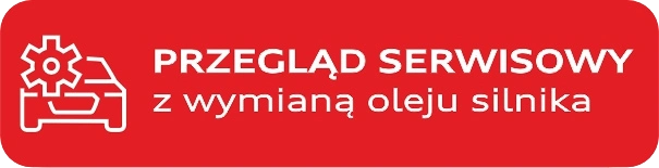 przycisk-przeglad-serwisowy
